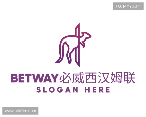 解读betway必威西汉姆联官网